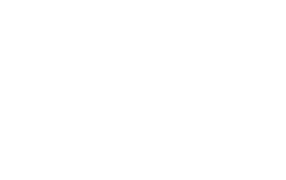 Solum Regeneration Branding